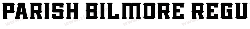 Parish Bilmore Regul字体转换
